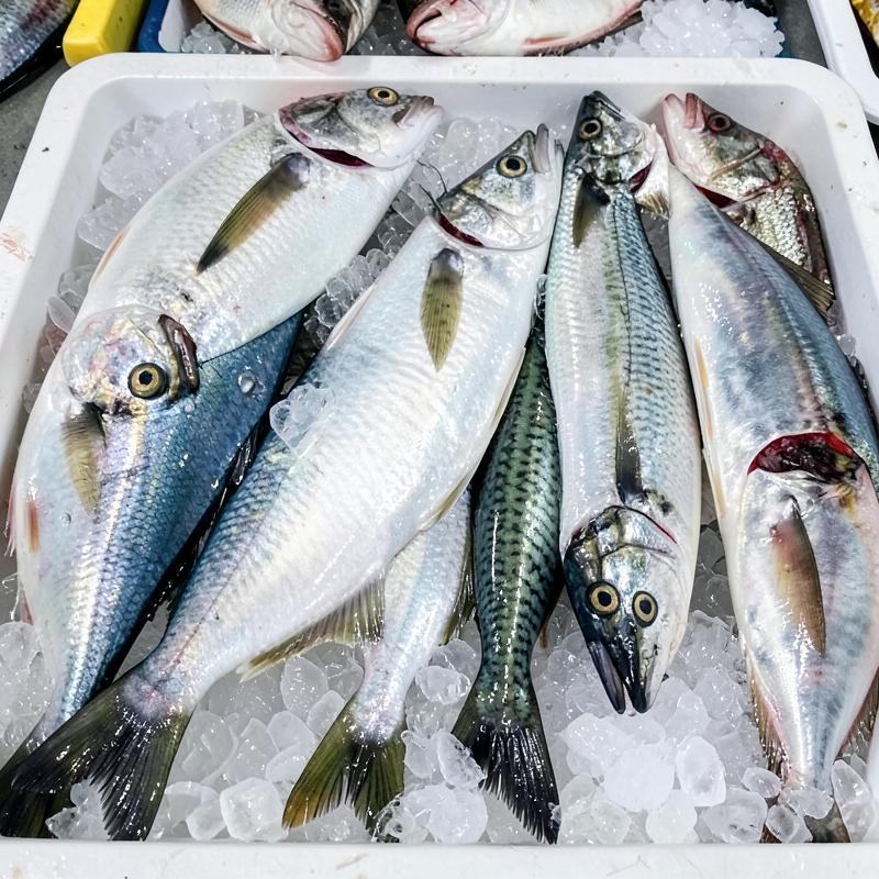 Poissons